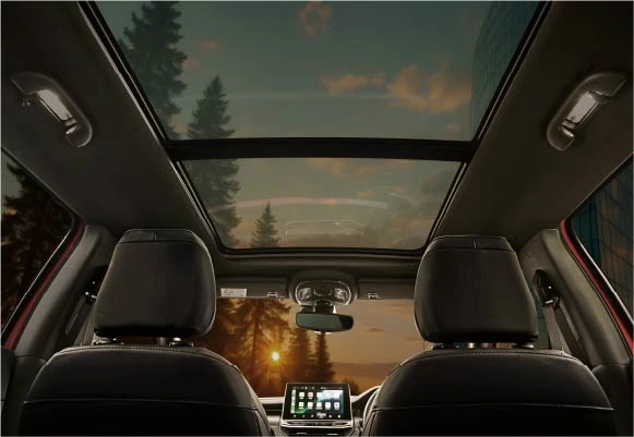 Panoramic Sunroof  